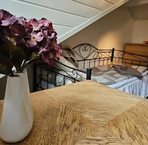 Purupihka, Free Parking And Sauna * Rovaniemi